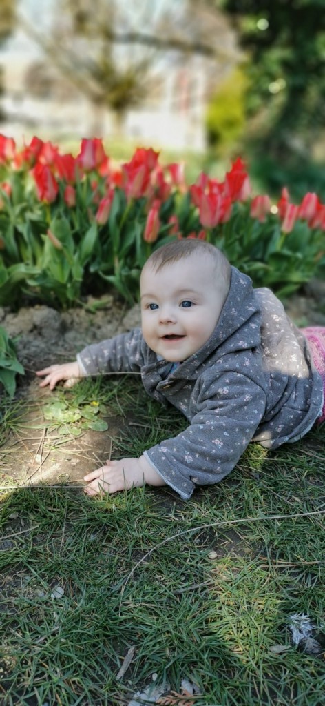 Morges Tulipes Nursery