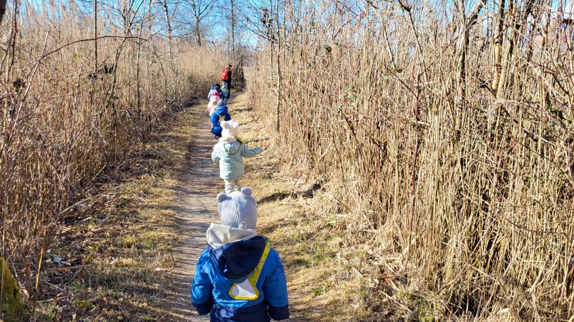 Promenade nature pour les enfants de la crèche La Nanosphère