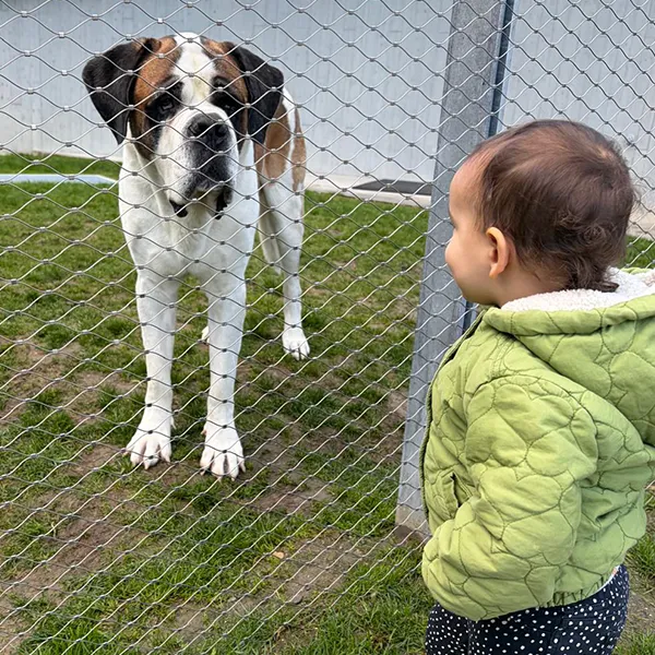 La Nanosphre St Bernard 07