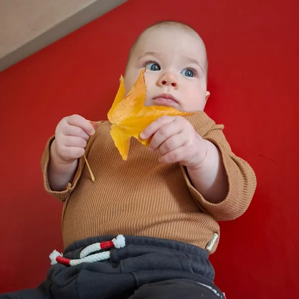 Lananosphere Bebes Exploration Sensorielle Automne03