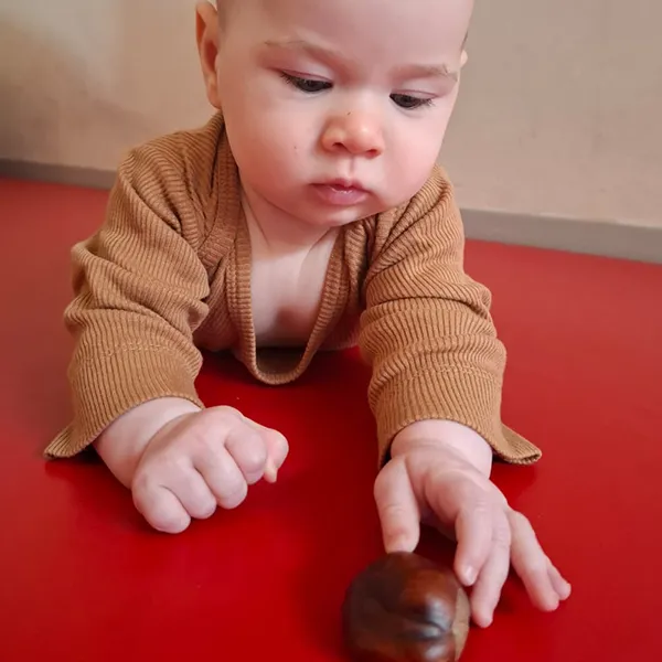 Lananosphere Bebes Exploration Sensorielle Automne04