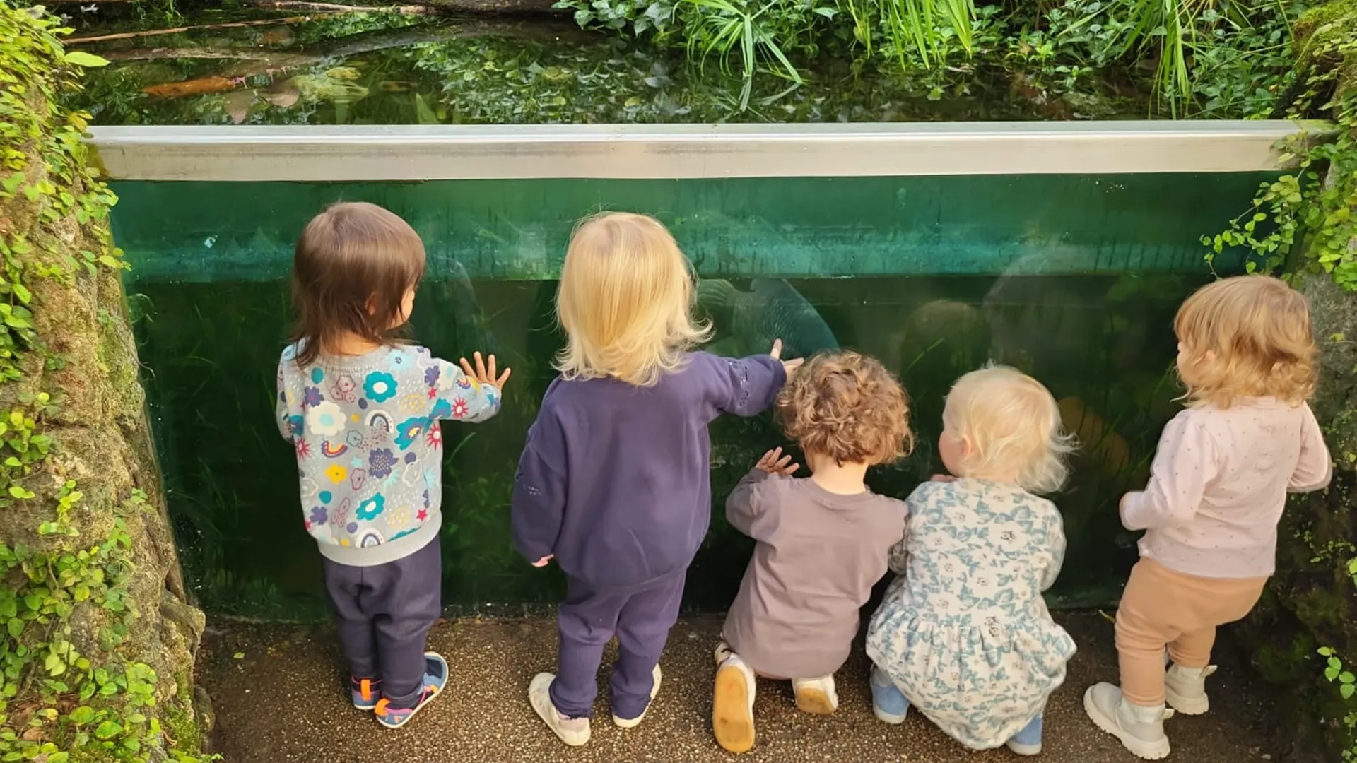 Nanosphere Trotteurs Papiliorama Papillons00