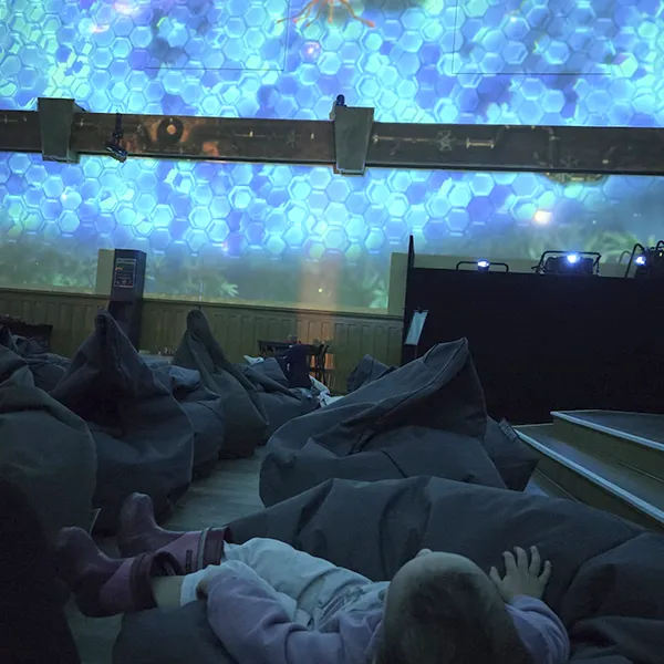 Nanosphere Trotteurs Pixelzoo Jungle 01