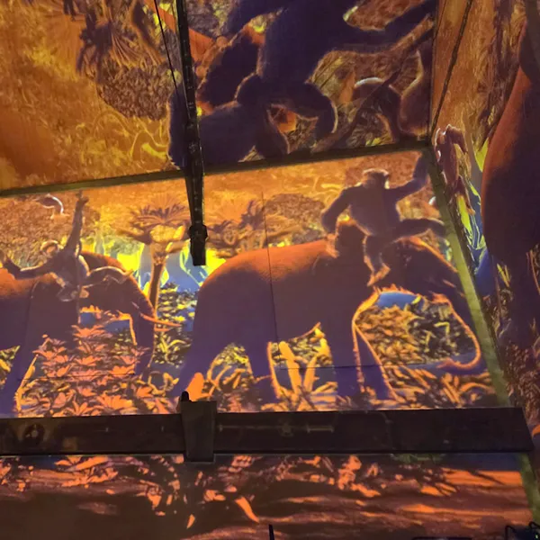 Nanosphere Trotteurs Pixelzoo Jungle 03