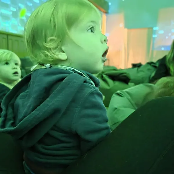 Nanosphere Trotteurs Pixelzoo Jungle 05