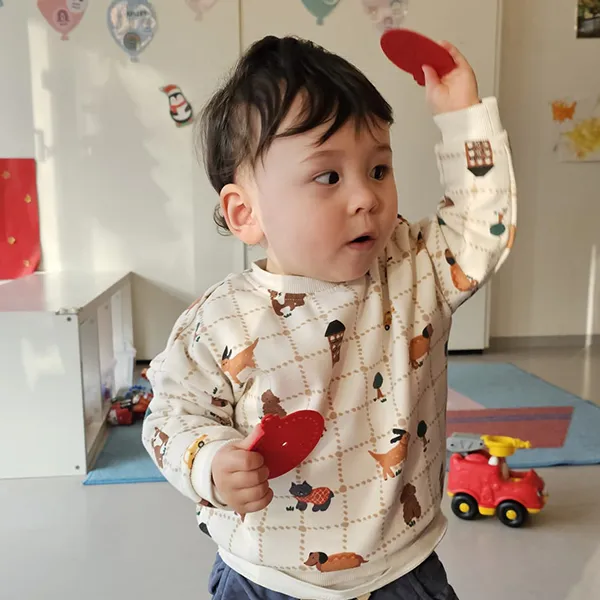 La Nanosphere Mini Trotteurs Sapin Feutrine 03