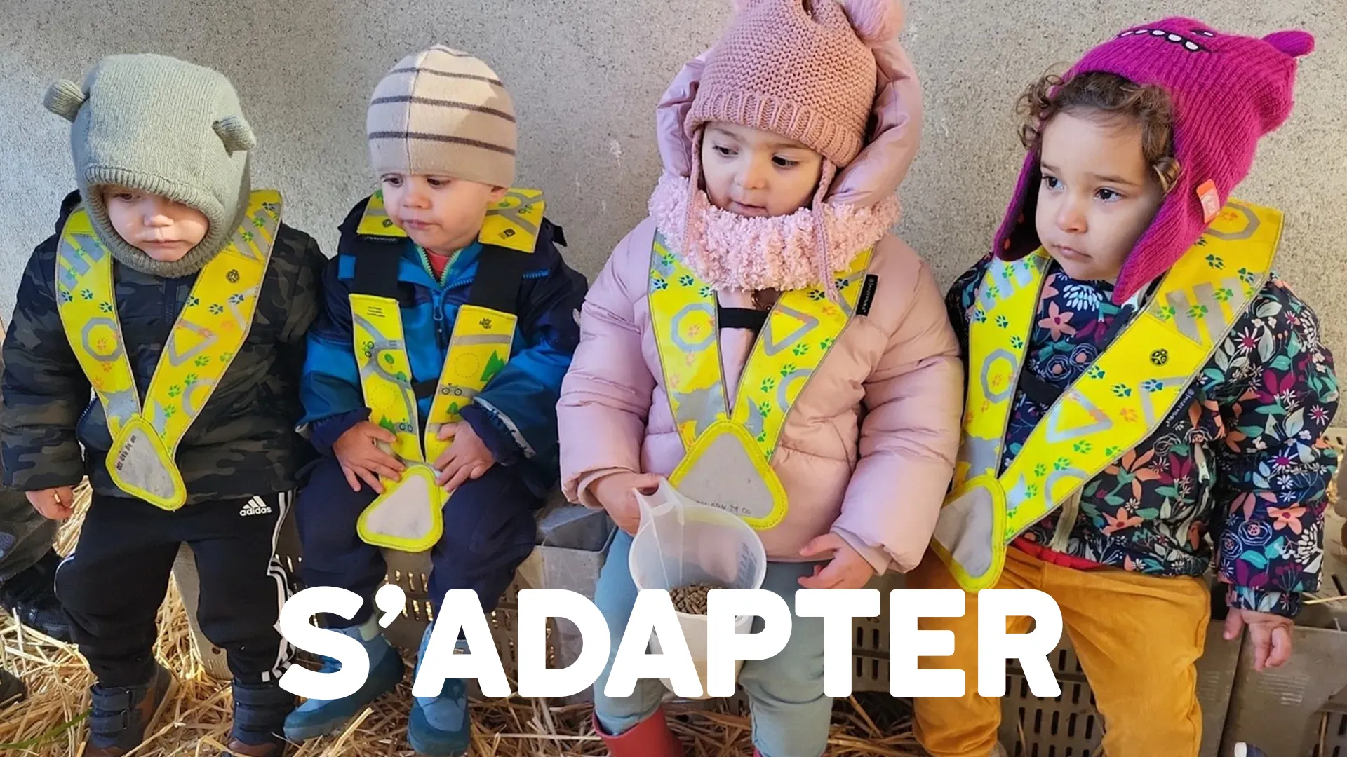 La Nanosphere Trotteurs Ferme Morand Hiver 00 01