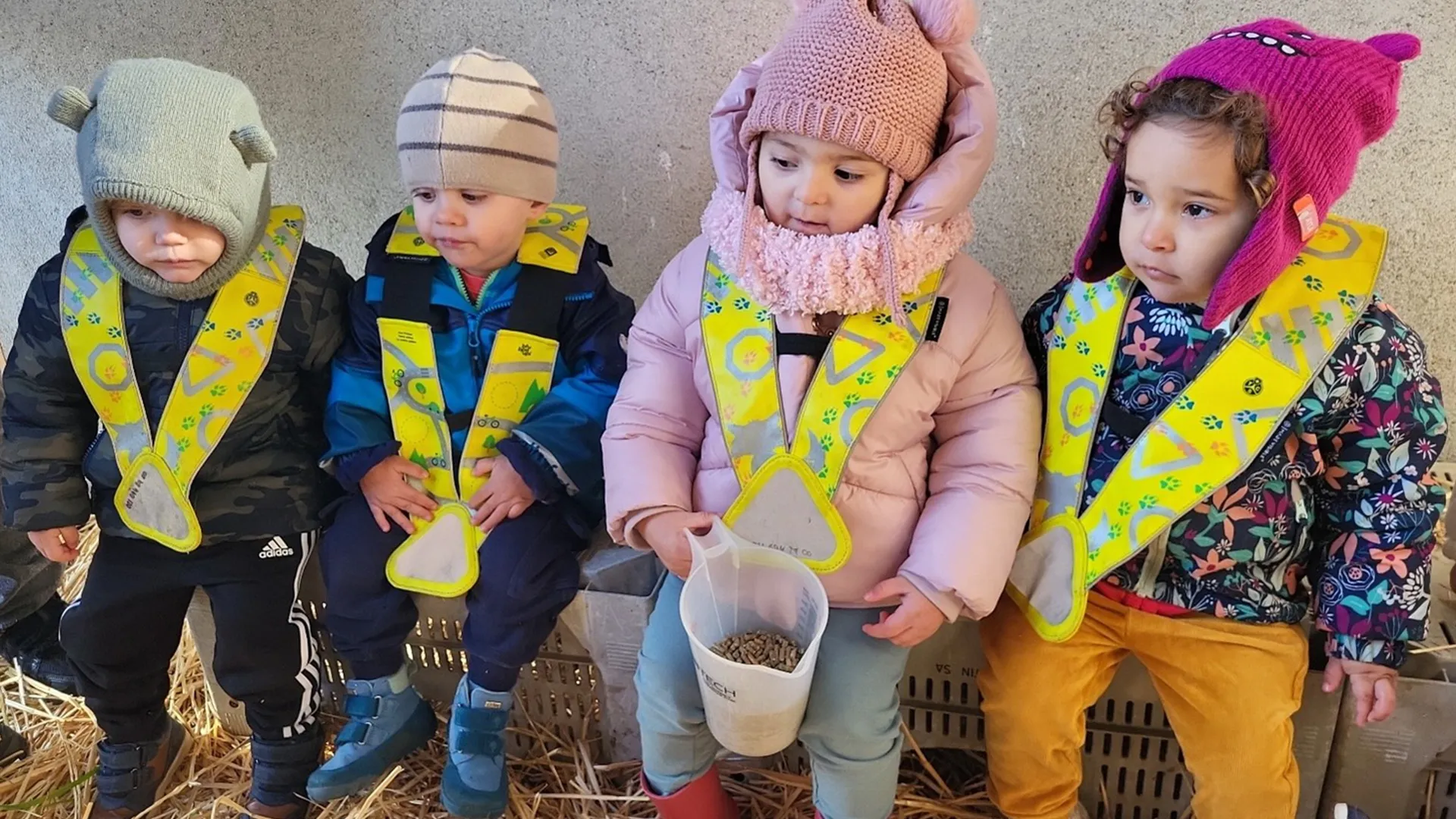 La Nanosphere Trotteurs Ferme Morand Hiver 00