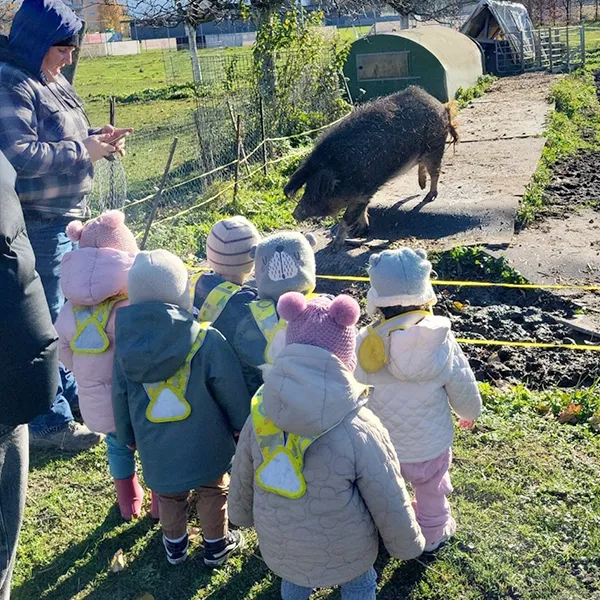 La Nanosphere Trotteurs Ferme Morand Hiver 01