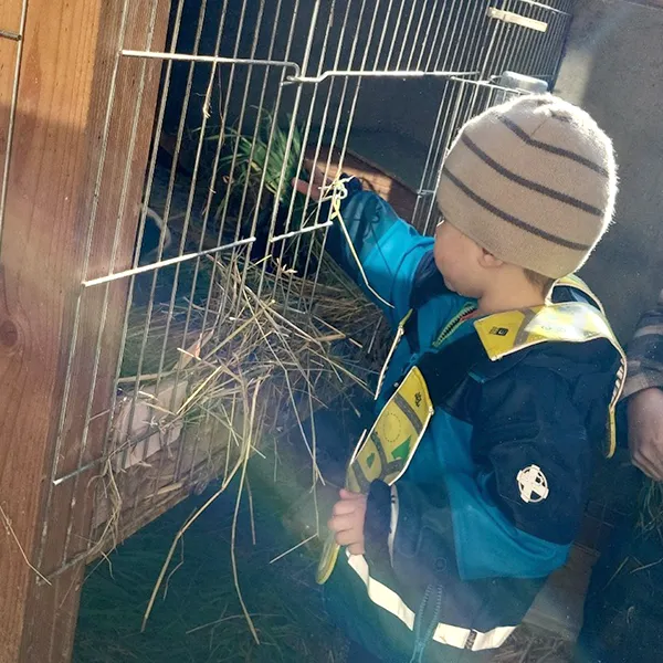 La Nanosphere Trotteurs Ferme Morand Hiver 03