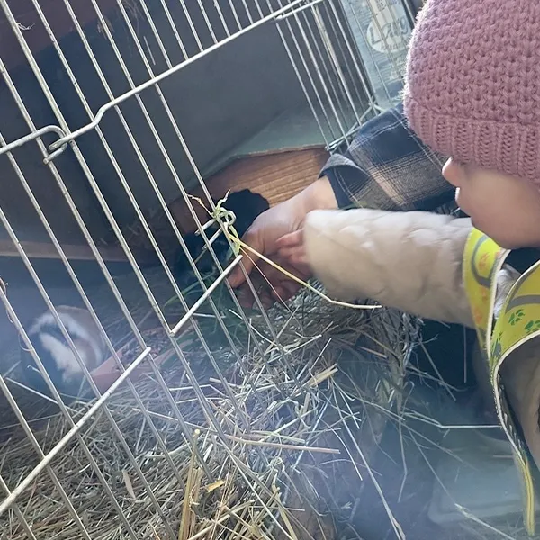 La Nanosphere Trotteurs Ferme Morand Hiver 05