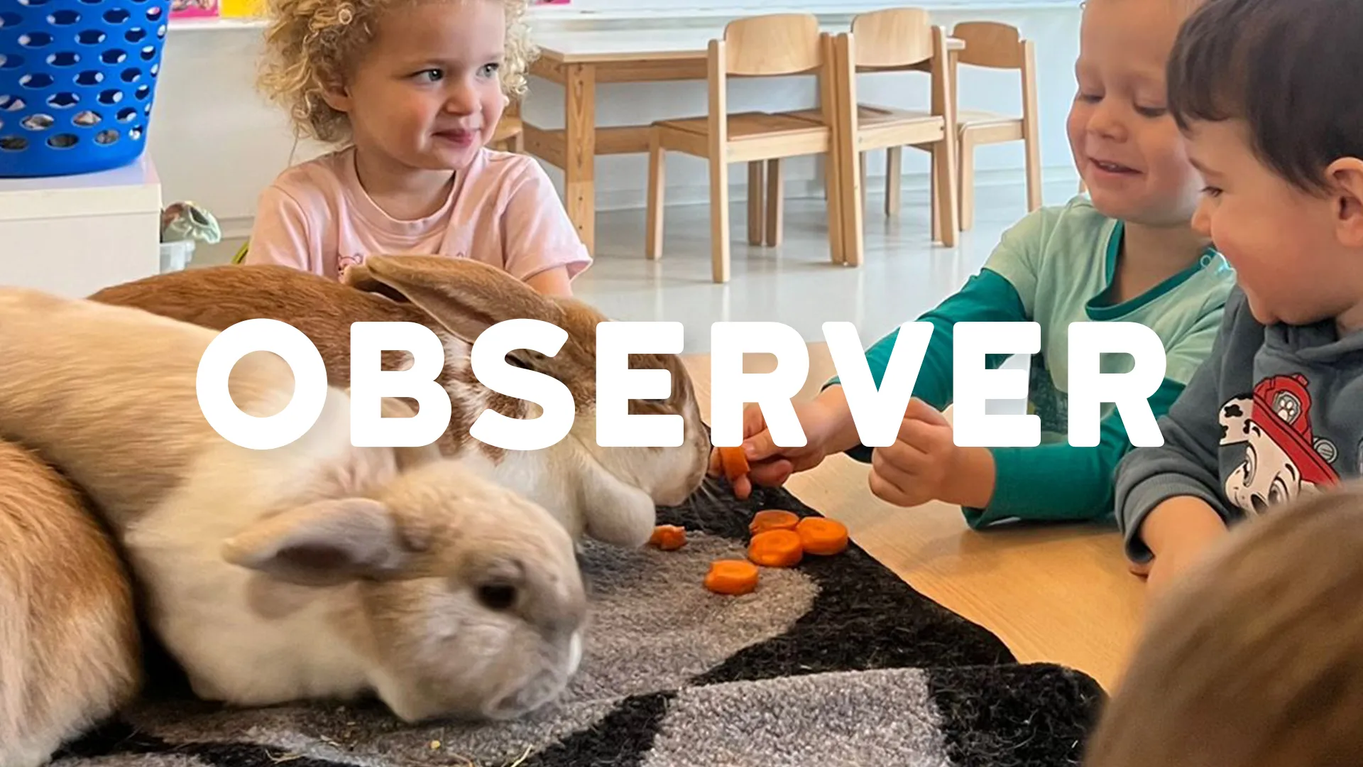 Interaction Enfants Animaux Creche Nanosphere Ecublens 00 Observer