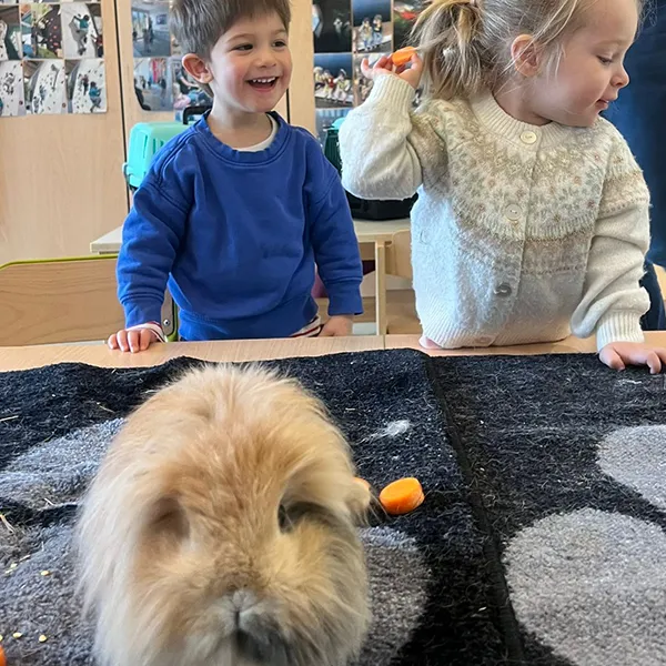 Interaction Enfants Animaux Creche Nanosphere Ecublens 03
