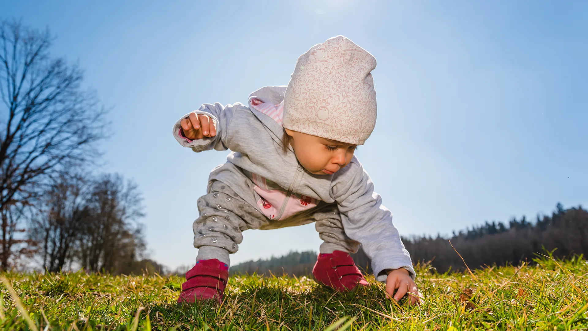 Nanosphere Formation La Pedagogie Nature