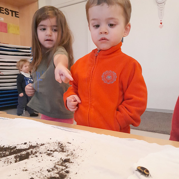 Enfants Observation Scarabees Nanosphere Ecublens 01