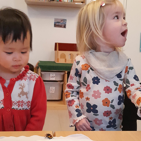 Enfants Observation Scarabees Nanosphere Ecublens 02