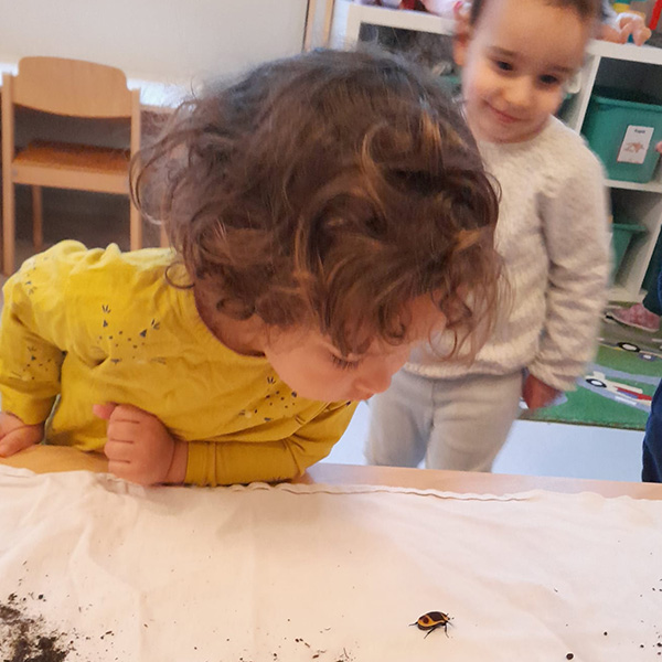 Enfants Observation Scarabees Nanosphere Ecublens 05