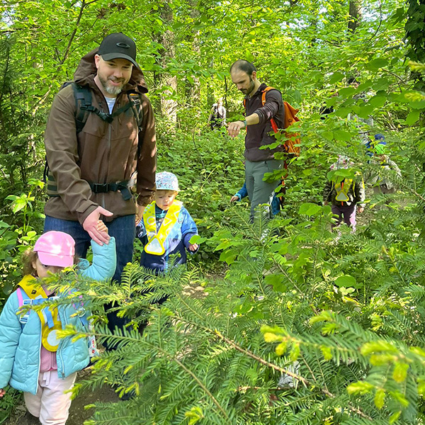 La Nanosphere Parents Infiltres Foret Ecublens 02