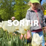 Nanosphere Sortie Tulipes Enfants Morges Ecublens 00