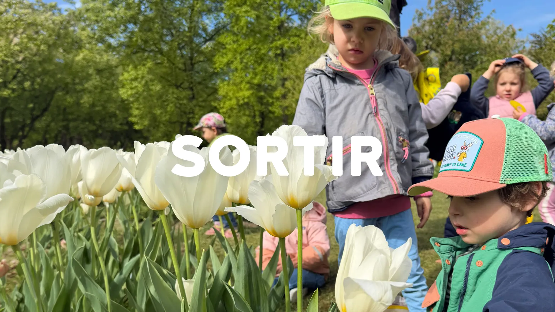 Nanosphere Sortie Tulipes Enfants Morges Ecublens 00