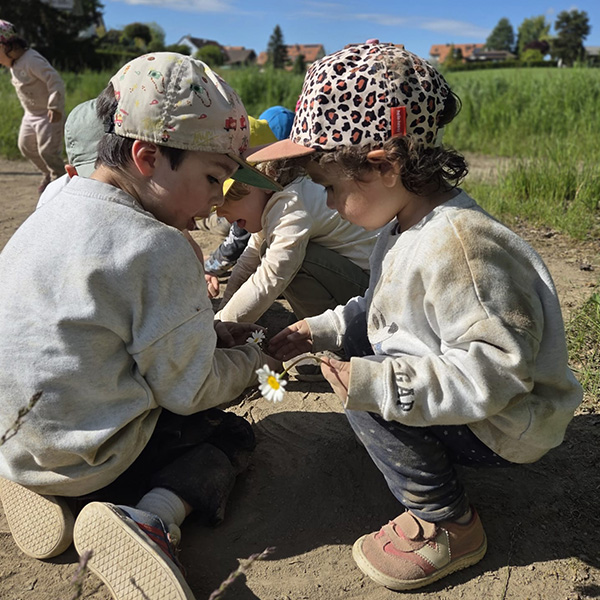 Nanosphere Camp Enfants Nature Ecublens 06