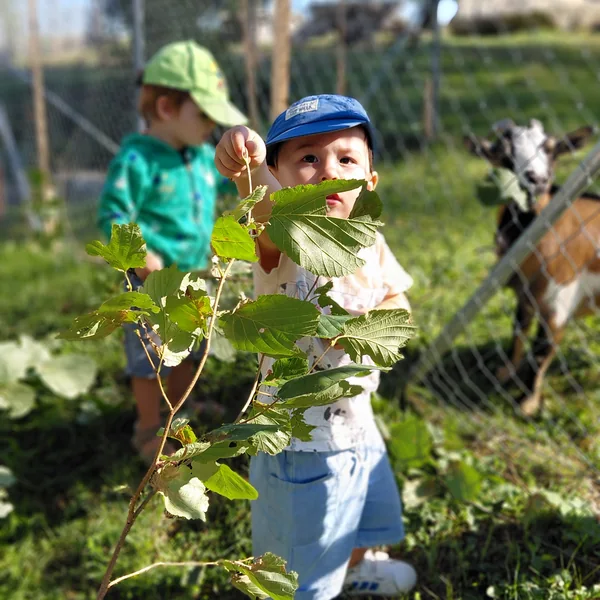 Educanews Nanosphere Ferme Pommes De Terre 03
