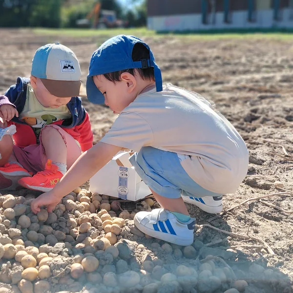 Educanews Nanosphere Ferme Pommes De Terre 09