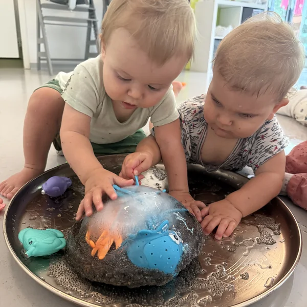Educanews Nanosphere Pieuvres Glace 03