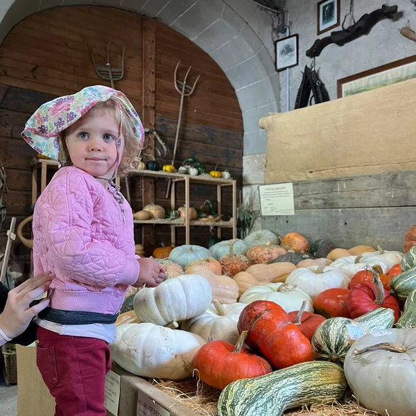 La Nanosphere Courges Les Grands Ecublens 032
