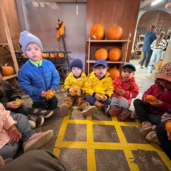 La Nanosphere Courges Les Grands Ecublens 035