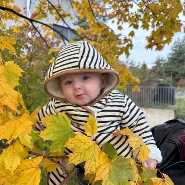 La Nanosphere Feuilles Automne Nursery Ecublens 052