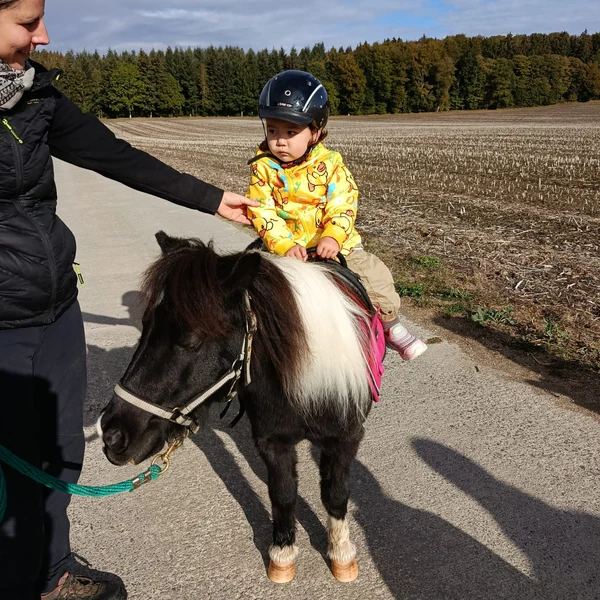 La Nanosphere Monter Poney Ecublens Epfl Innovation Park 11