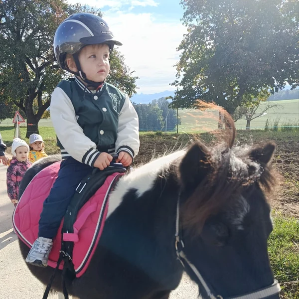 La Nanosphere Monter Poney Ecublens Epfl Innovation Park 12